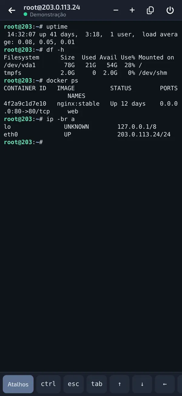 SSH terminal inside the app